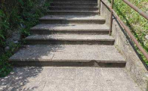 Foto: KJKP RAD / Fotografije stepeništa na Gorici koje je poslao KJKP Rad