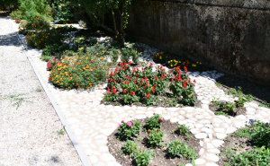 Foto: A. K. / Radiosarajevo.ba / Botanički vrt Zemaljskog muzeja BiH