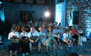 Foto: Hamza Duraković / NPS / Koncert Azmira Halilovića