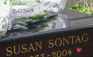 Foto: Kabinet Denisa Bećirovića / Odao počast u Parizu