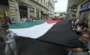 Anadolija  / Protesti za Gazu u Sarajevu