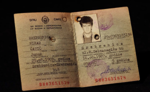 Foto: Detektor.ba / Pisma Nine Čatića