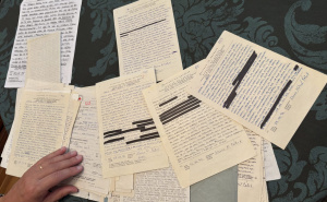 Foto: Detektor.ba / Pisma Nine Čatića