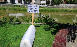 Foto: Glas Stoca / Umjetnički i građanski performans u Stocu