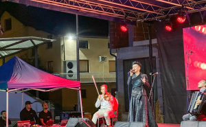 Foto: X.com / Dani dijaspore u Gornjem Vakufu-Uskoplju