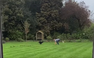 Foto: Netflix / Meghan Markle i princ Harry u Frogmore Cottage