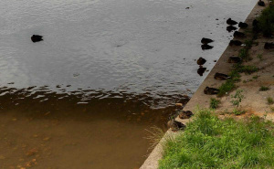 Foto: E. L. / Radiosarajevo.ba / Mostovi Sarajeva