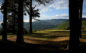 Foto: N.G / Radiosarajevo.ba / Popov gaj