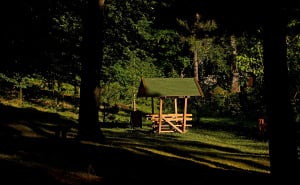 Foto: N.G / Radiosarajevo.ba / Popov gaj