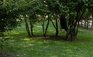 Foto: E. L. / Radiosarajevo.ba / At Mejdan