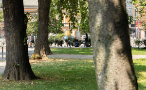 Foto: E. L. / Radiosarajevo.ba / At Mejdan