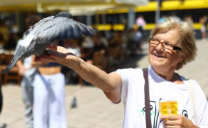 Foto: Dž. K. / Radiosarajevo.ba / Šetnja Sarajevom