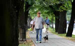 Foto: N. G. / Radiosarajevo.ba / Vilsonovo šetalište, Vils, šetnja