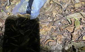 Foto: MUP ZDK / Pronađena droga