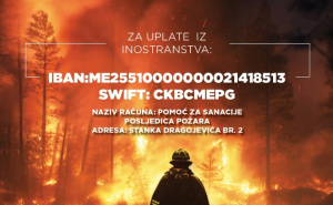 Foto: Vlada Crne Gore / Računi za donacije