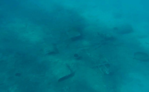 Foto: Morski.hr / Predmeti pronađeni u uvali ispred plaže