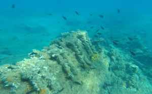 Foto: Morski.hr / Predmeti pronađeni u uvali ispred plaže