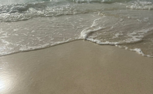 Foto: Radiosarajevo.ba / Maldivi