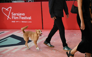Foto: A.K./Radiosarajevo.ba / Crveni tepih na SFF-u