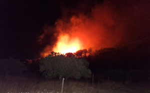 Foto: Facebook  / S mjesta požara