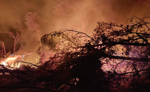 Foto: Facebook  / S mjesta požara