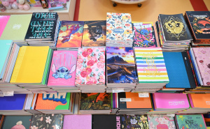 Foto: N. G. / Radiosarajevo.ba / Školski pribor, cijene, škola