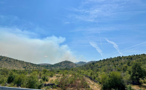 Foto: Radiosarajevo.ba / Požar između Drijena i Trnovice