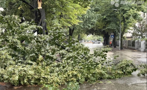 Foto: Bljesak.info / Posljedice nevremena u Mostaru