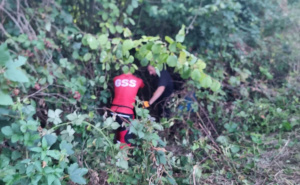 Foto: Facebook / GSS Kladanj