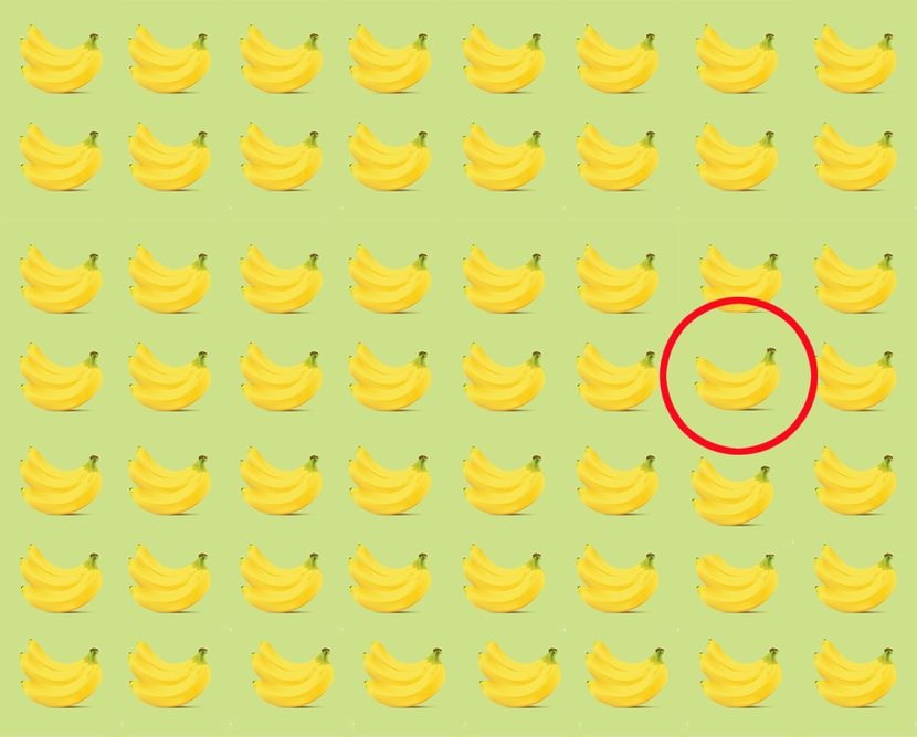 Rješenje skrivalice