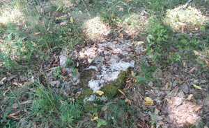 Foto: Bassania / Otkrivene tri velike nekropole u Rogatici