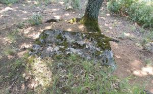 Foto: Bassania / Otkrivene tri velike nekropole u Rogatici