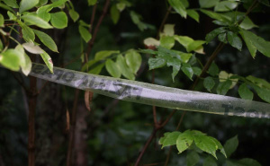 Foto: Dž.K. / Radiosarajevo.ba / Stanje na klizištu Curine Njive