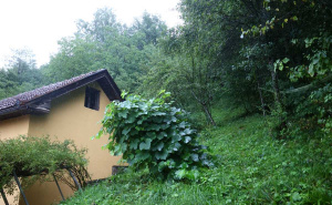 Foto: Dž.K. / Radiosarajevo.ba / Fotografije Curinjih njiva iz augusta 2025. godine