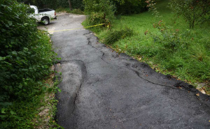 Foto: Dž.K. / Radiosarajevo.ba / Fotografije Curinjih njiva iz augusta 2025. godine