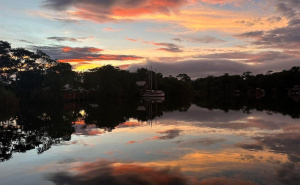 Foto: Ustupljena fotografija za portal Radiosarajevo.ba / La Isla Dulce