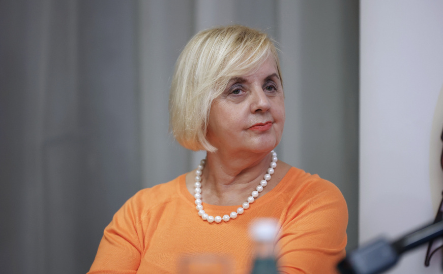 Press konferencija Udruženja BH Novinari i NVO PROEduca