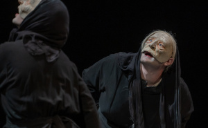 Foto: NPS / Stare dame koje beru koprive