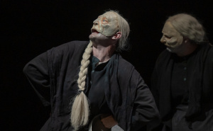 Foto: NPS / Stare dame koje beru koprive