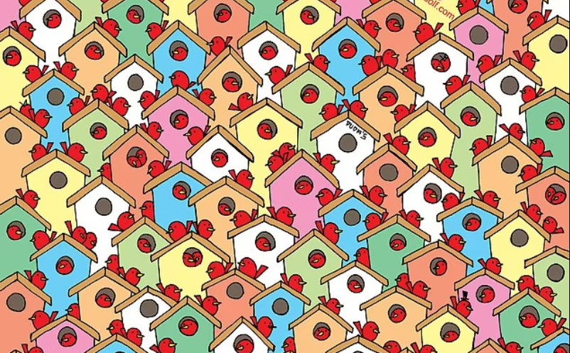 Ptičice su sakrile jabuke