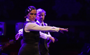 Foto: native.ba / Gran Gala Flamenco dolazi na scenu BKC-a