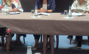 Foto: Fondacija lokalne demokratije / „Multisektorska koordinacija u slučajevima seksualnog nasilja“