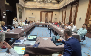 Foto: Fondacija lokalne demokratije / „Multisektorska koordinacija u slučajevima seksualnog nasilja“