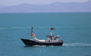 FOTO: AA / Globalna flota Sumud