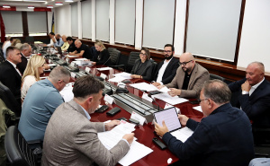 Foto: SDP BiH / Sa sjednice predsjedništva stranke