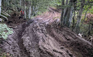 Foto: Facebook / Akcija spašavanja