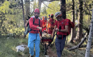 Foto: Facebook / Akcija spašavanja