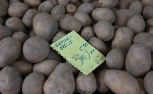 Foto: Dž.K. / Radiosarajevo.ba / Cijene voća i povrća na pijaci Grbavica