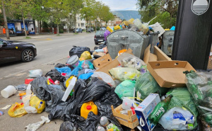 Foto: Hercegovina.info / Otpad na ulicama Mostara