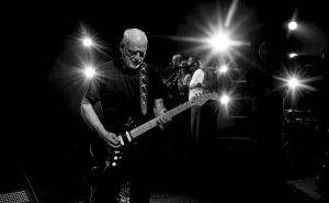 Foto: CineStar / CineStar donosi jesen za pamćenje: Kino & Vino, svjetski baleti i opere te koncerti najvećih zvijezda